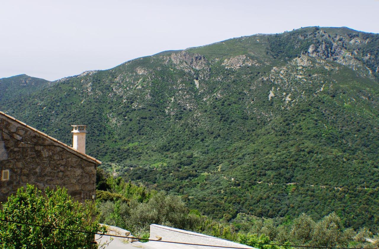 Studio Le Petit Nid D'Amour Meuble Tourisme 3 Etoiles Poggio Santa-Lucia-di-Tallano Exterior foto