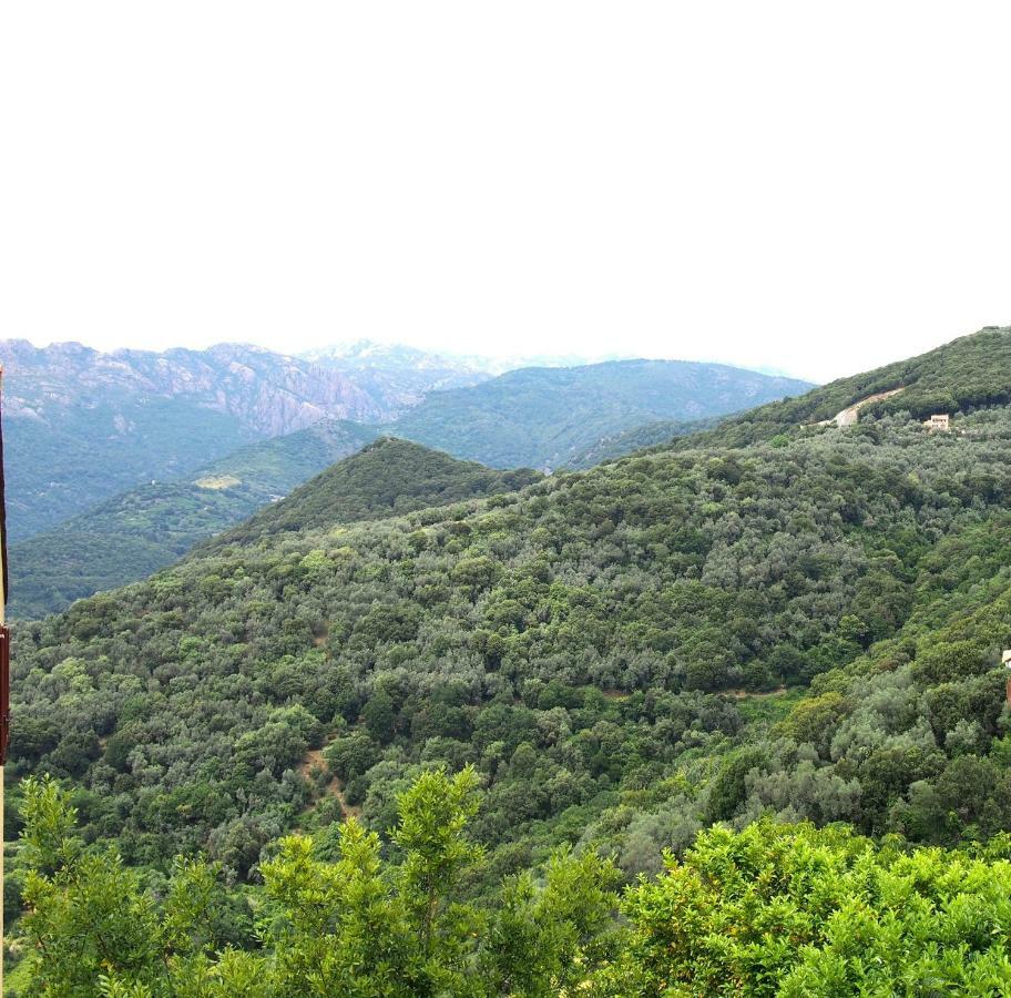 Studio Le Petit Nid D'Amour Meuble Tourisme 3 Etoiles Poggio Santa-Lucia-di-Tallano Exterior foto
