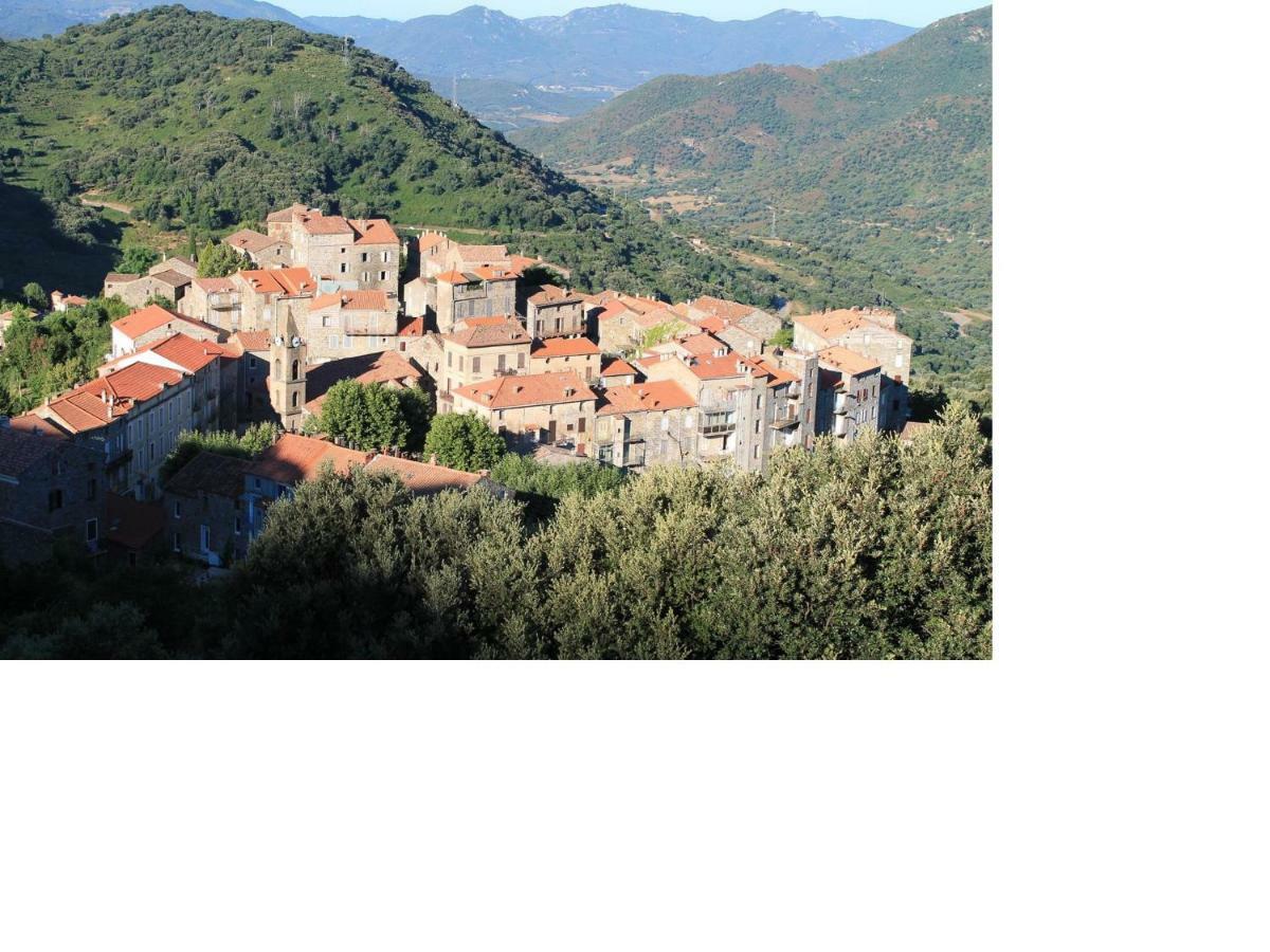 Studio Le Petit Nid D'Amour Meuble Tourisme 3 Etoiles Poggio Santa-Lucia-di-Tallano Exterior foto